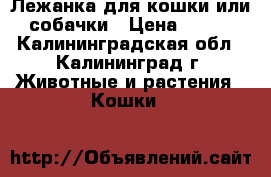 Лежанка для кошки или собачки › Цена ­ 700 - Калининградская обл., Калининград г. Животные и растения » Кошки   